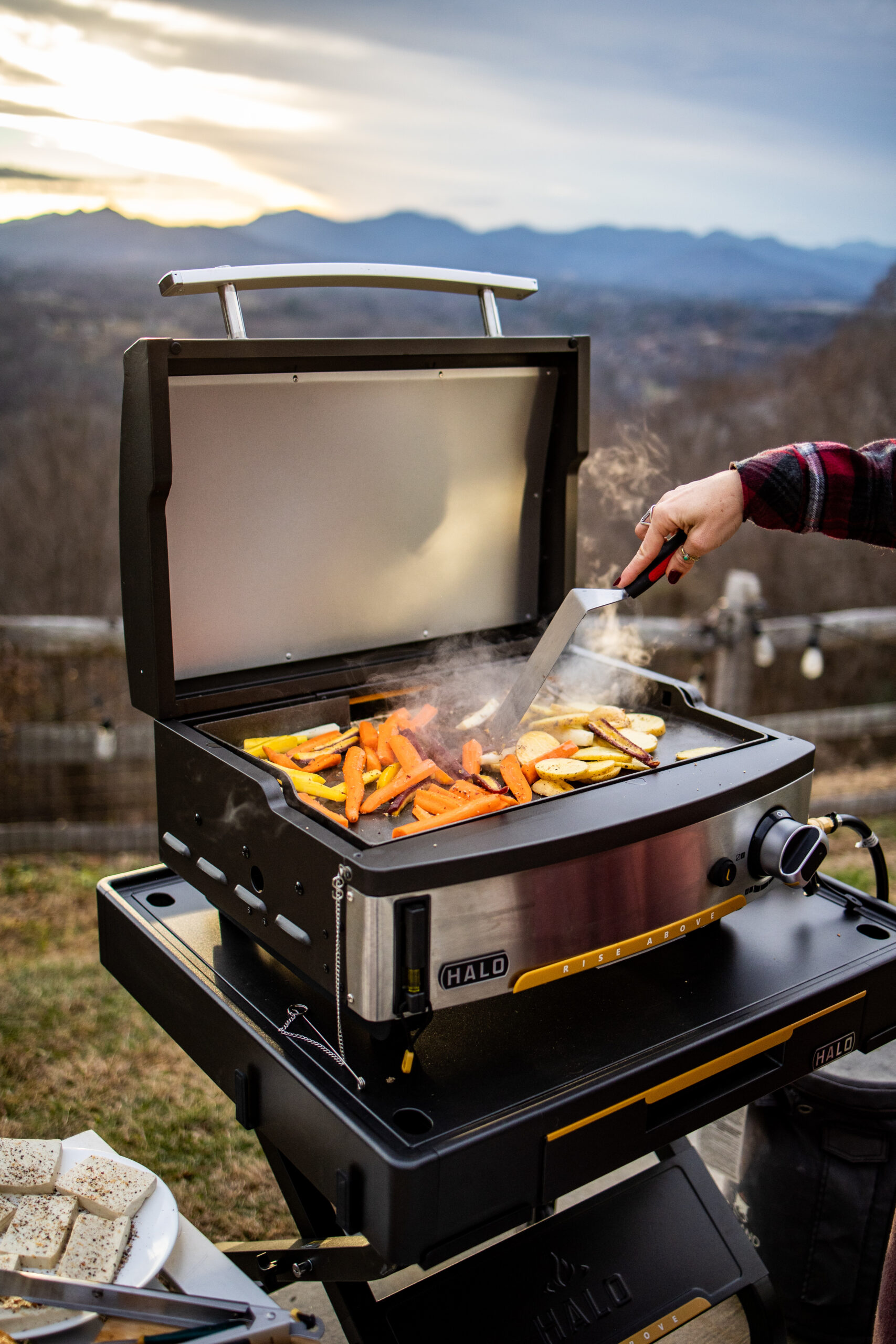 Elite1B Outdoor Countertop Griddle | HALO Products Group